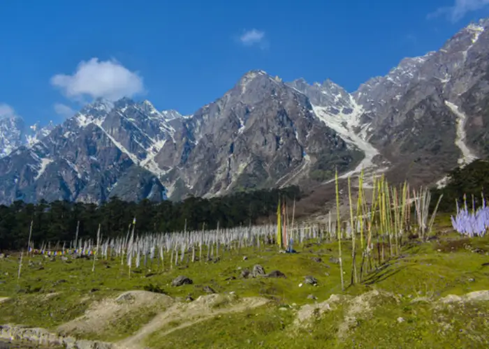 Chopta Valley
