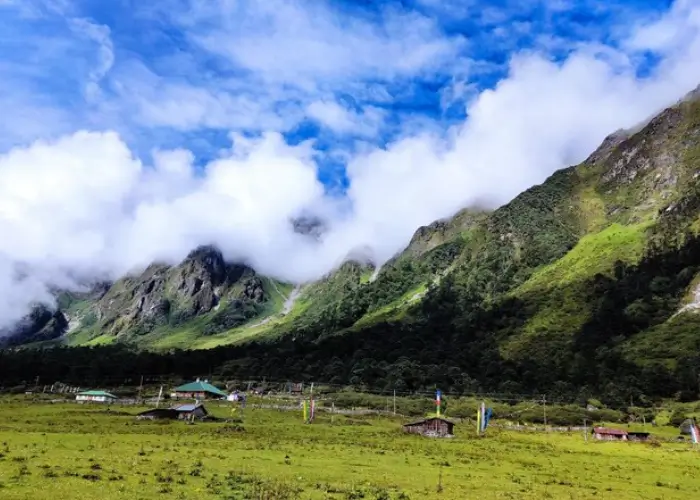 Yumthang Valley – The Valley of Flowers